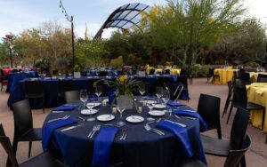 Dinner on the Desert