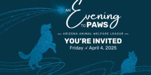 Evening to Paws