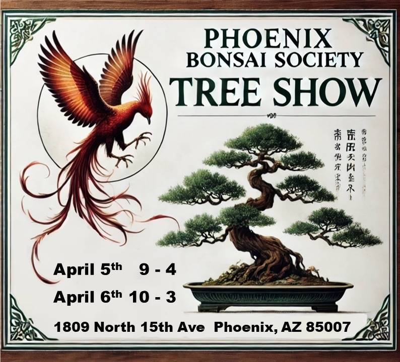 Phoenix Bonsai Annual Tree Show