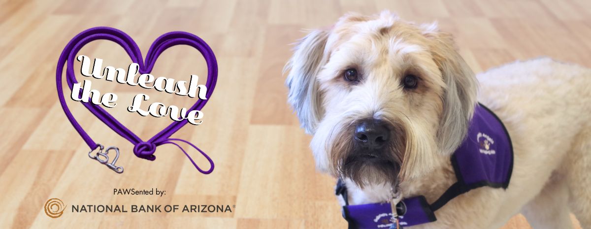 UTL 2025 (1200 x 465 px) (1)