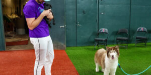 Dog Days of Summer Provide Opportunity to Find New Furry Friend, Thanks to Diamondbacks and AAWL