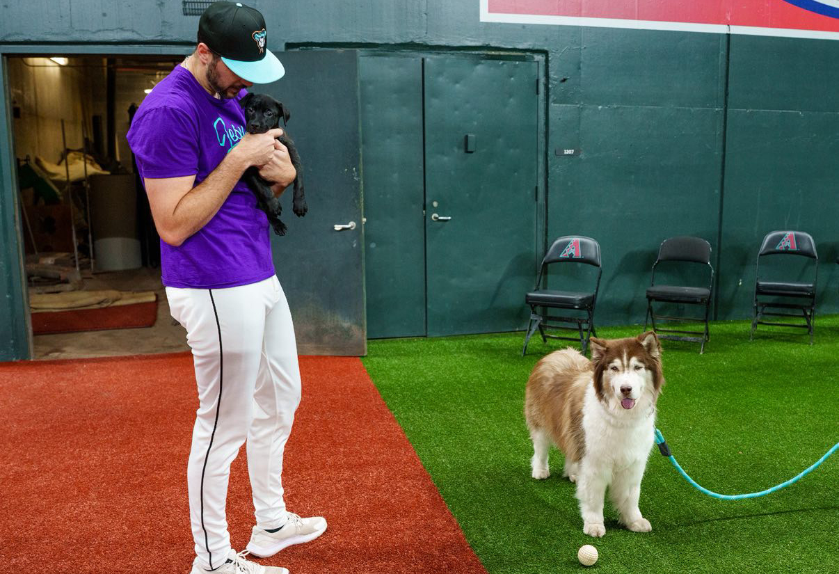 Dog Days of Summer Provide Opportunity to Find New Furry Friend, Thanks to Diamondbacks and AAWL