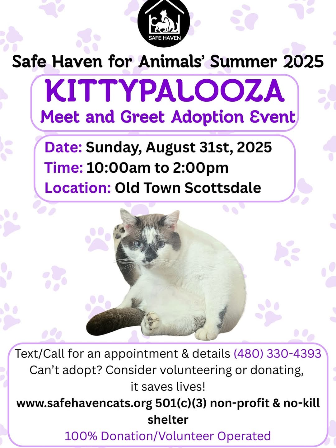 FB_IMG_1754421686399