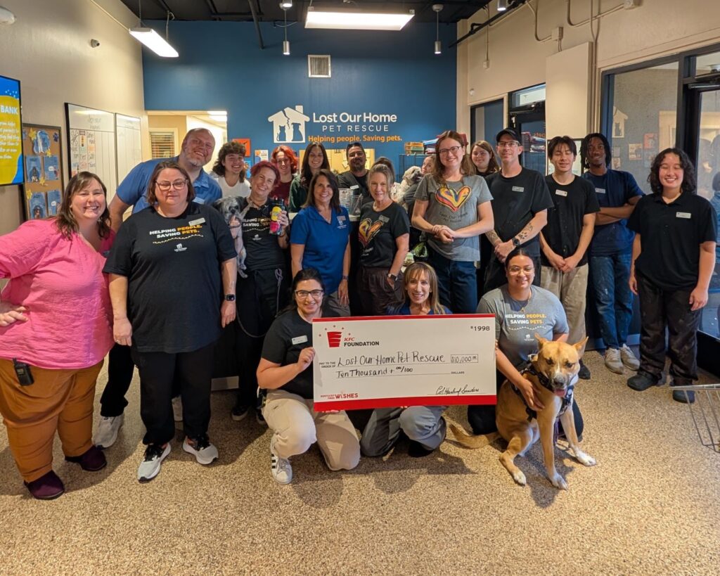 Lost Our Home Pet Rescue Awarded $10,000 Grant from KFC Foundation