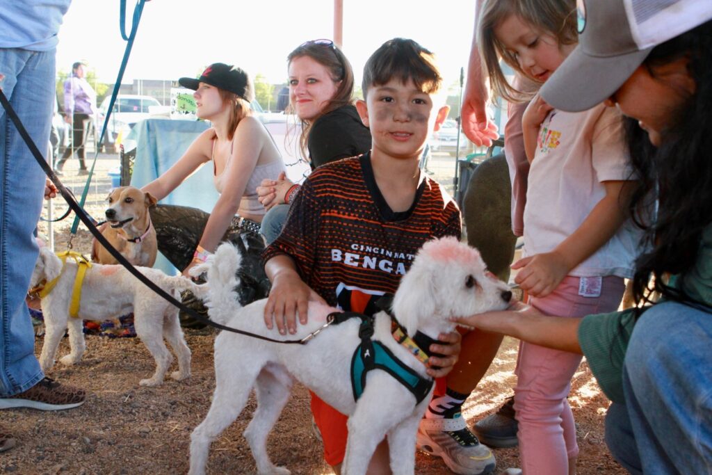 #LovePup has played a key role in helping over 30,000 dogs adopted from Maricopa County Animal Care and Control 