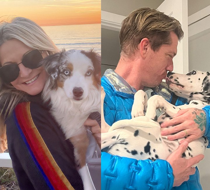 A Night of Pawsibilities Silver Jubilee