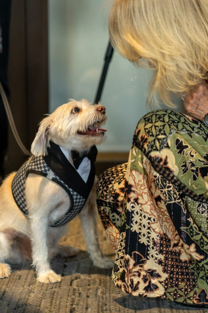 Pierre with Help a Dog Smile