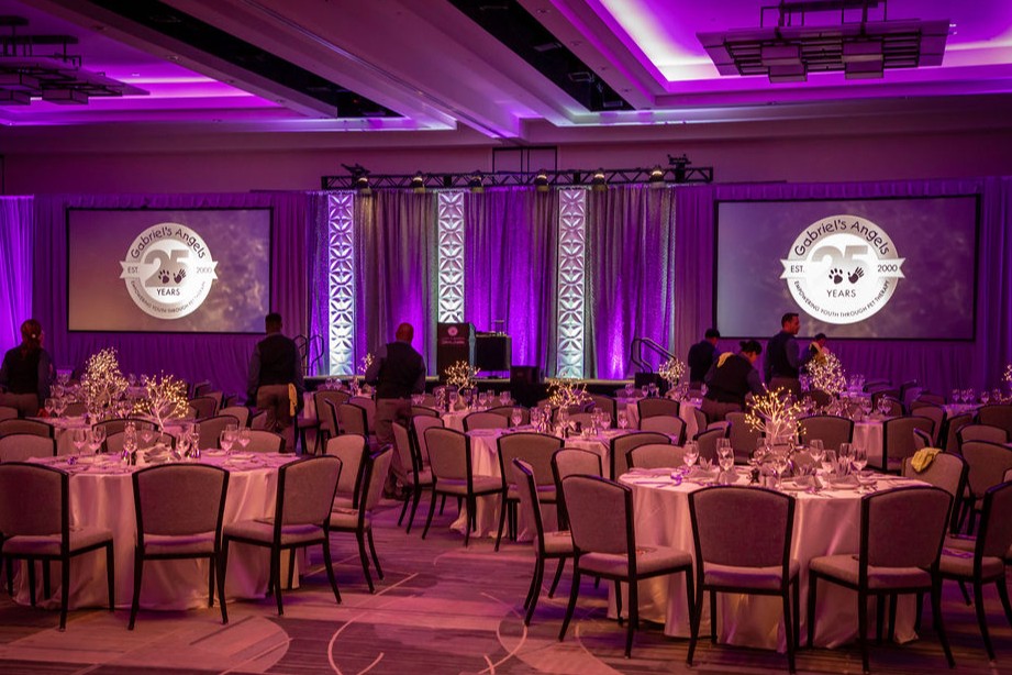 Gabriel’s Angels marks 25 years of service with the Night of Pawsibilities Silver Jubilee Gala, honoring pet therapy’s impact on youth resilience.